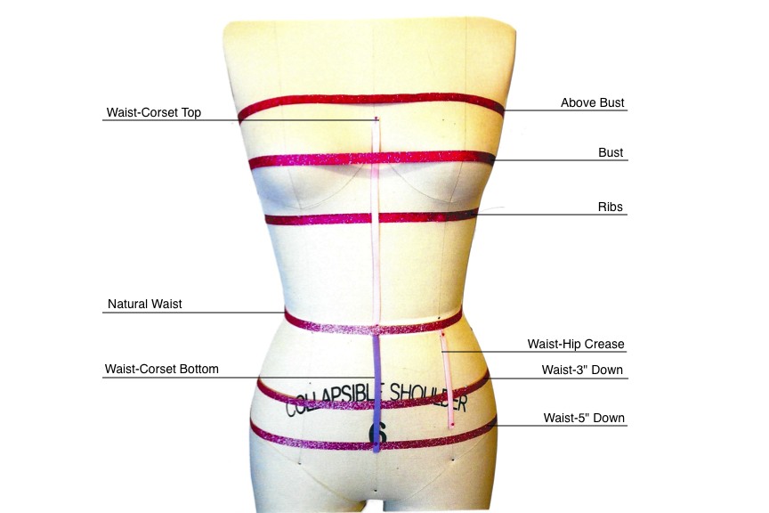 Measure for a Corset